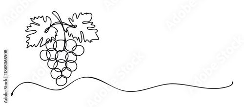 Simple linear graphic of a grape bunch and vine leaves seamlessly extending into a decorative wave, ideal for labels, restaurant menus, or creative stationery.