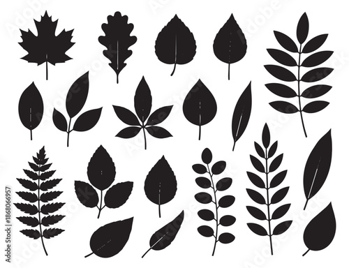 Silhouette leaf set featuring diverse tree and plant foliage for natural design projects