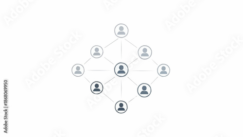 Network of people connected in a social or business structure.