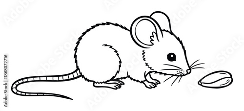 Simple black and white outline drawing of a small mouse attentively looking at a single seed, suitable for childrens books, educational materials, or coloring pages.
