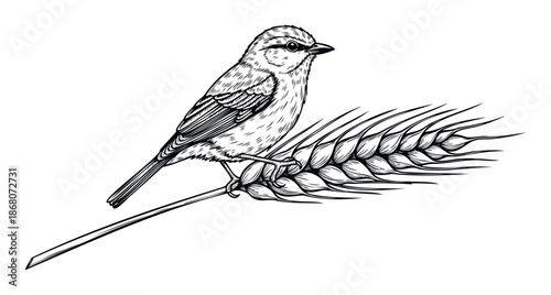 A black and white line drawing featuring a small sparrowlike bird perched gently on a ripe wheat ear, ideal for agricultural, nature, and organic product branding.
