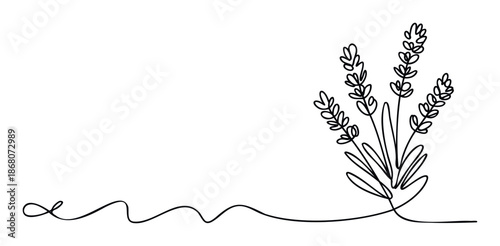 A simple elegant continuous line drawing showcasing a fragrant lavender plant, ideal for use in branding natural products, aromatherapy businesses, spa services, or tranquil wellness