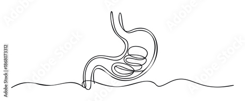 Simplified anatomical representation of the human digestive system featuring stomach and coiled small intestine drawn with one fluid unbroken line for medical and wellness related content.
