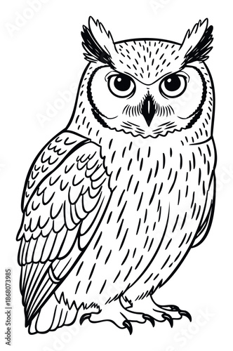 Stylized owl line drawing capturing the essence of a nocturnal bird, ideal for educational content, nature projects, and print materials.