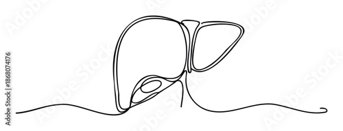 Simple continuous line drawing of a human liver for medical and health education materials or wellness and anatomy related visual content