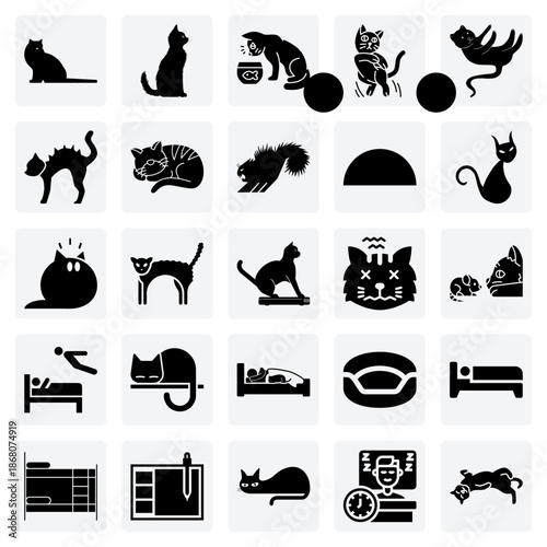 The Daily Life Of A House Cat – Sleeping, Playing, And Curious Feline Illustrations For Pet Care Content