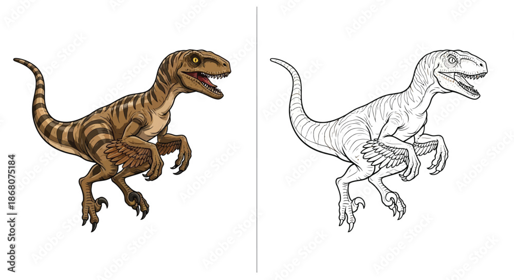 Fototapeta premium Velociraptor Dinosaur Coloring Page With Striped Design and Line Art Comparison Side by Side