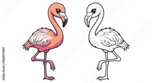 Flamingo Coloring Page Cartoon Comparison With Color and Black and White Illustrations
