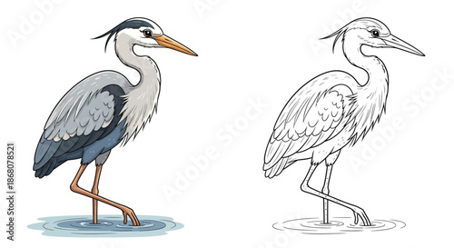 Grey Heron Birds Standing in Water Coloring Page With Detailed Vector Line Art Illustration