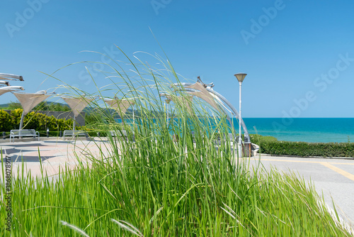 Sunny beach with sand dunes and blue sky in Bulgaria