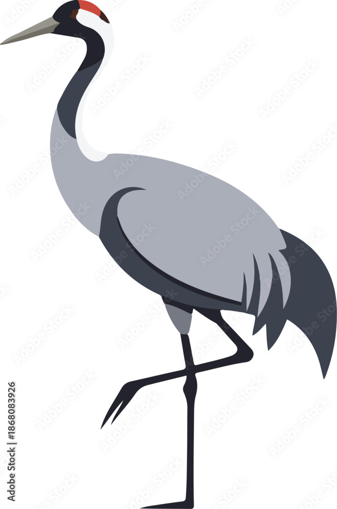 Fototapeta premium A grey crane with a red crest stands on one leg, its long neck curved
