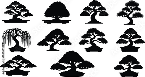 Set of twelve bonsai tree silhouettes showcasing diverse miniature styles, artistic pruning techniques, and ornamental pot designs for decoration.