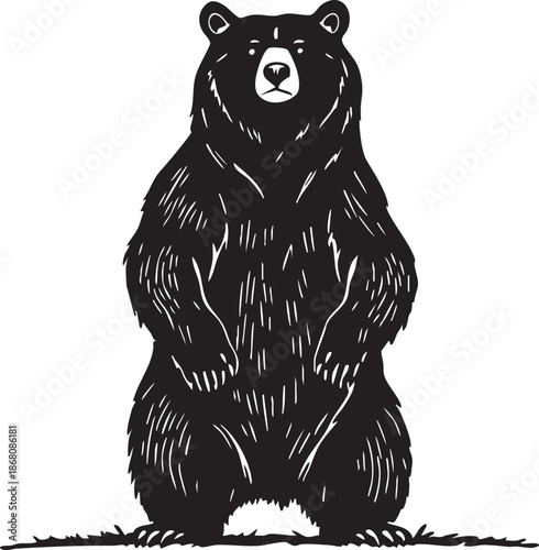 A cute wildlife illustration of a brown bear cartoon and black bear cartoon head isolated as a wild mammal vector sketch for a nature drawing