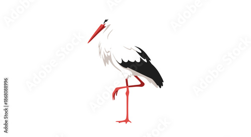 Elegant stork with white feathers and black wings stands gracefully on one long red leg against a white background in a minimalist style.