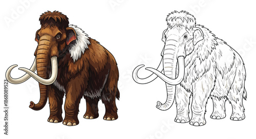 Woolly Mammoth Comparison With Detailed Color Illustration and Side by Side Sketch