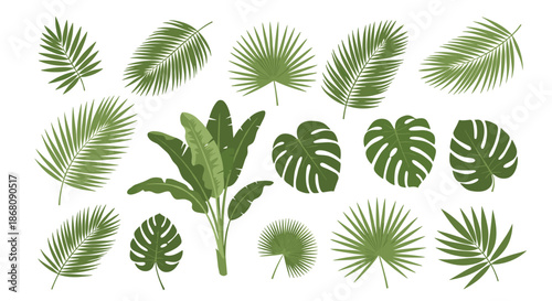 Large assortment of green tropical leaves including monstera and palm fronds is displayed for botanical and exotic nature-themed designs.