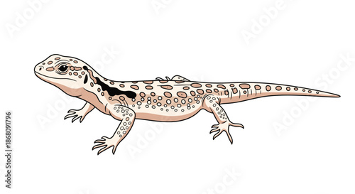 Detailed illustration of a leopard gecko showing its characteristic spots and skin texture in a natural standing pose on white.