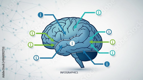 A detailed vector illustration of a brain with infographic elements