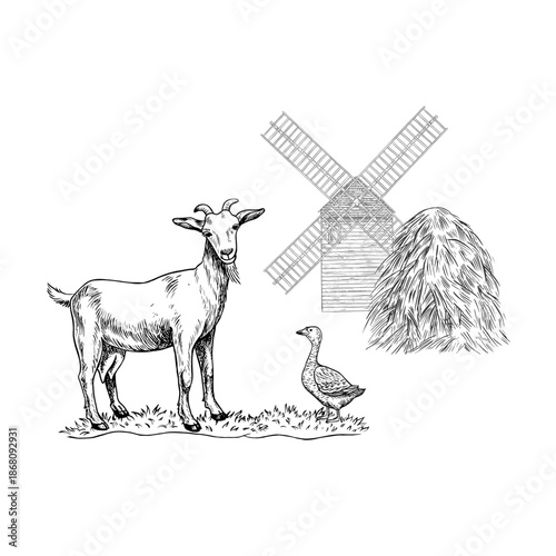 A goat standing next to a goose in front of a mill and a haystack. Black and white vector illustration drawn by hand. An agricultural yard. Perfect for farms or agriculture. For packaging and banners.