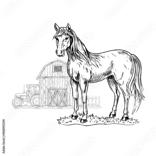 Horse in a barnyard background. Black and white graphic, vector illustration. Horse, barn, tractor. Concept of the agricultural industry. Design element for banners, labels, postcards, and more.