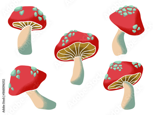 Red Mushroom with Grain Texture Vector Illustration Set