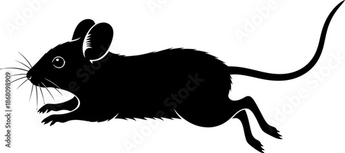 Dynamic Black Silhouette of a Mouse Running Fast on White Background Vector Illustration desert animal