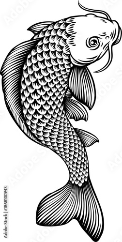 A koi carp coy fish. An original illustration in a vintage Japanese woodcut art style.