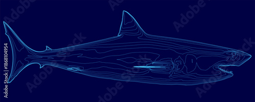 Detailed blueprint of a great white shark contour on a solid blue background. The design highlights the predator's fins, textured scales, and distinctive eye. Side view