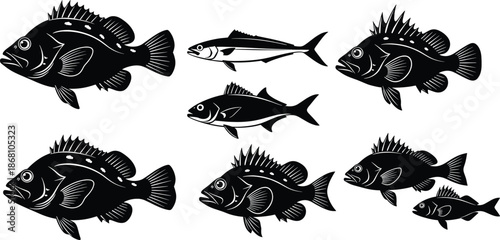 Fish Silhouette Vector Set with Spiny Fin Species Black Marine Aquatic Wildlife Illustration Collection