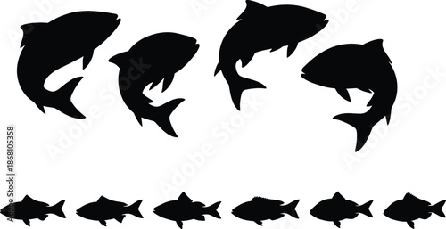 Fish Silhouette Vector Set with Different Swimming Poses Black Freshwater Aquatic Wildlife Illustration Collection