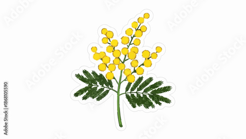 A single branch of a flowering plant with small yellow blossoms and green foliage