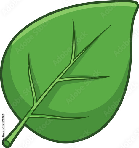 A simple green leaf with a visible stem and vein pattern on white