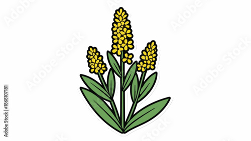 A simplified illustration of a flowering plant with three yellow floral spikes and green leaves