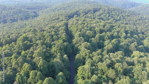 Aerial View of Forest Road in Great Smoky Mountains National Park