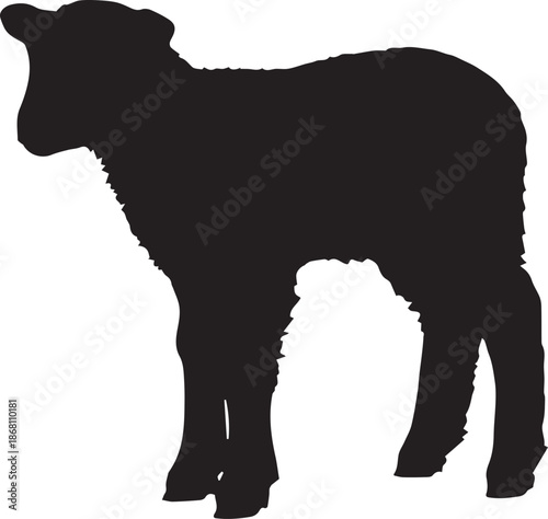 Silhouette of a sheep