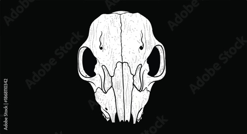 Detailed Hand Drawn Sketch of a Realistic Animal Skull Isolated on Black
