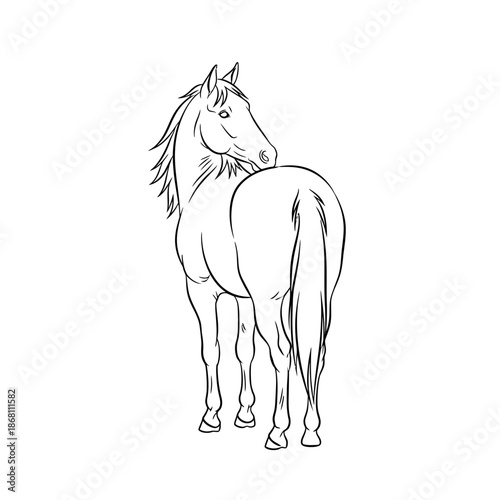 Black line art sketch of horse standing rear view looking back over shoulder isolated on white background. Minimalist equine vector illustration