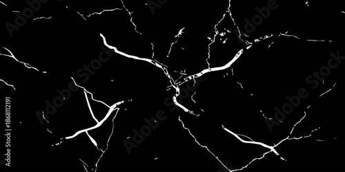 Elegant black marble texture with bold white natural veins forming dramatic cracks. High-resolution stone background ideal for luxury design, interior decor, tiles, surfaces, wallpapers, and branding.