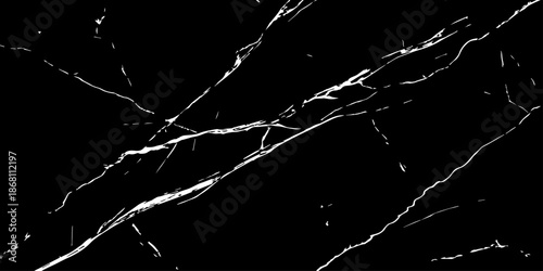 Elegant black marble texture with bold white natural veins forming dramatic cracks. High-resolution stone background ideal for luxury design, interior decor, tiles, surfaces, wallpapers, and branding.