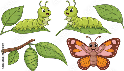 Cartoon butterfly life cycle illustration set with cute caterpillars on green leaves, a hanging cocoon, and a happy butterfly character
