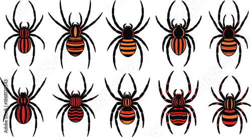 Colorful Spider Vector Set with Striped Patterns Creepy Arachnid Halloween Insect Illustration Collection
