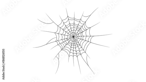 Black and white spider web illustration on white background.