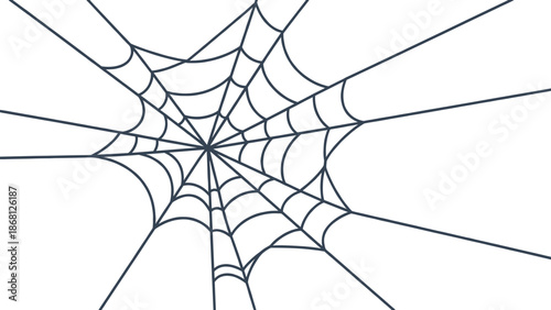 Black spider web on white background, intricate pattern, vector illustration.