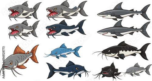 Predatory Fish Vector Set with Sharks Catfish and Aggressive Marine Freshwater Species Illustration Collection