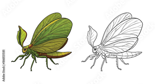 Realistic Green Grasshopper Coloring Page Detailed Line Art Illustration for Kids