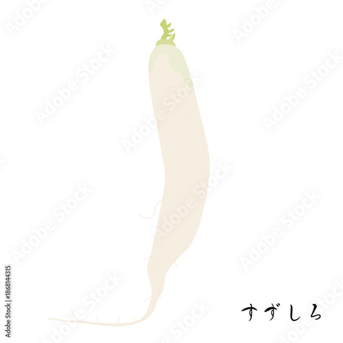 春の七草のすずしろのイラスト