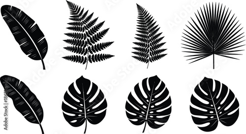 Collection of various tropical plant leaves and flowers, vibrant and lush foliage