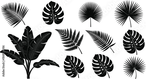 Collection of various tropical plant leaves and flowers, vibrant and lush foliage