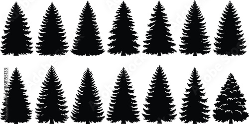Conifer tree silhouettes, evergreen forest shapes, pine and fir outlines, black vector trees, botanical design elements, forestry icons, nature illustration set, woodland graphics