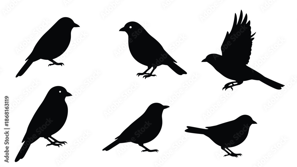Fototapeta premium A collection of black bird silhouettes in various flight and perch poses